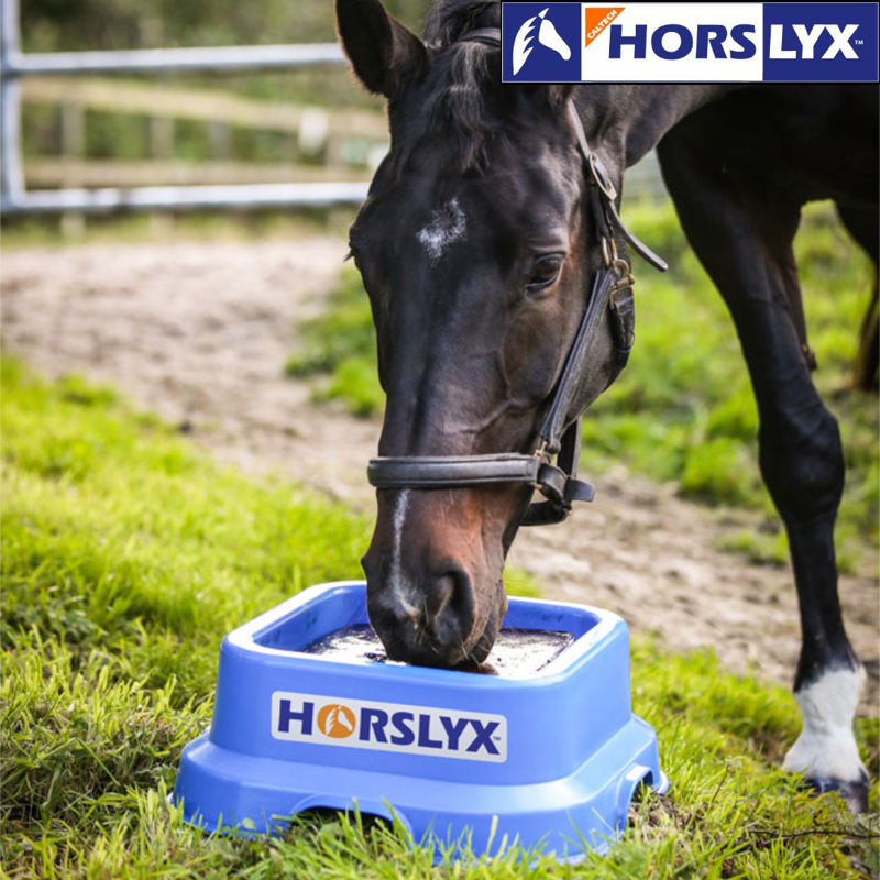 Horslyx 15kg Balancer Lick Holder -1